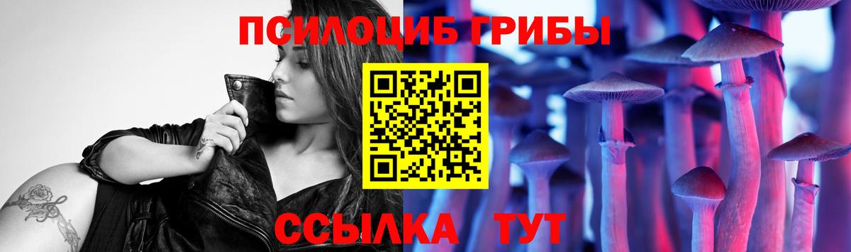 Волгоград  Галлюциногенные грибы ЛСД  как найти закладки  Вход с VPN 